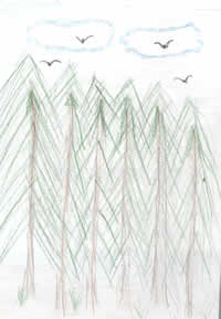 Drawing: birds and trees