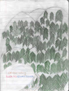 sketch: forest