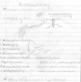 notes: Macroinvertebrates