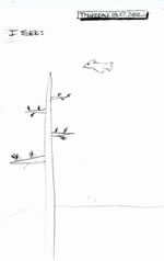 Sketch: tree with bird