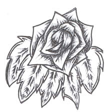 Sketch: rose