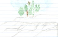 Sketch: trees on granite