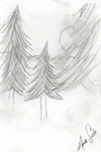 Sketch: pine trees