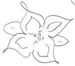 Sketch: flower