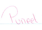 Puneet's Signature