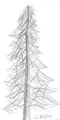 sketch: tree