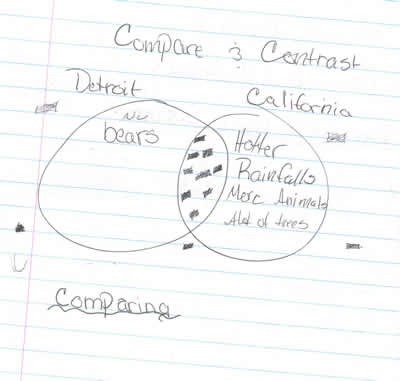 sketch: compare and contrast detroit and wilderness