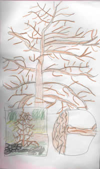 sketch: detail of tree