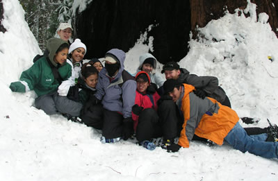 group falling in snow