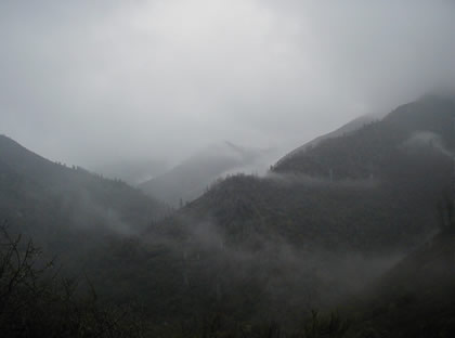 fog on hills