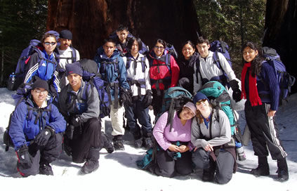 group by sequoias