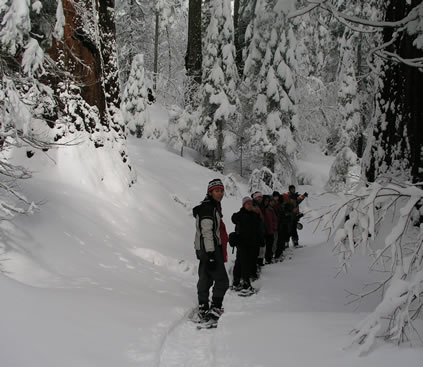 group on the trail