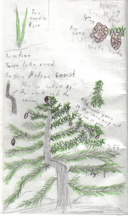 scanned image: journal sketch