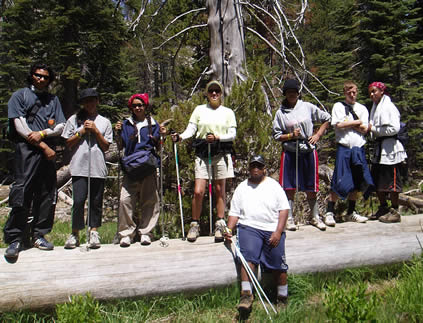 group on a log