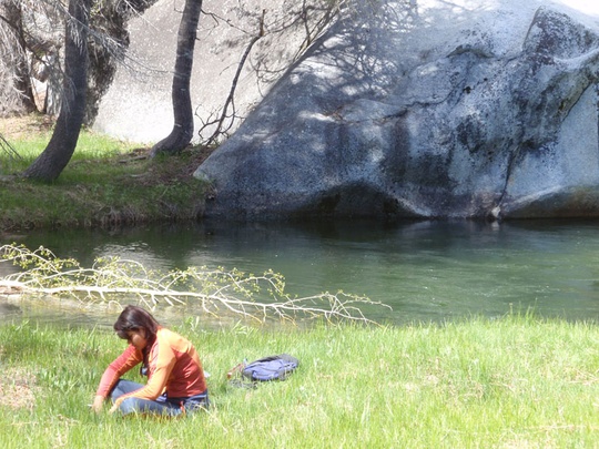 Erica by the river