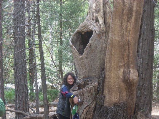 Kayla Hugs A Tree