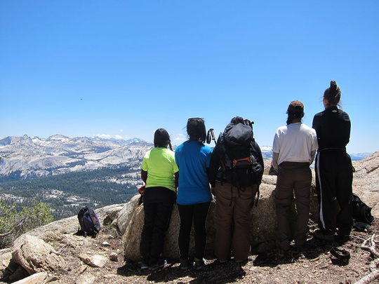 Group Looks at View