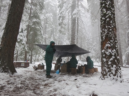 Group Campfire Snow