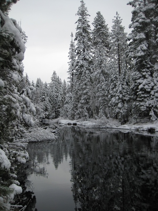 Group Snowy Merced River