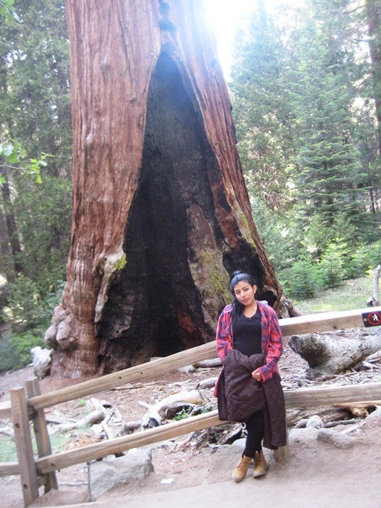 Sequoia Pose