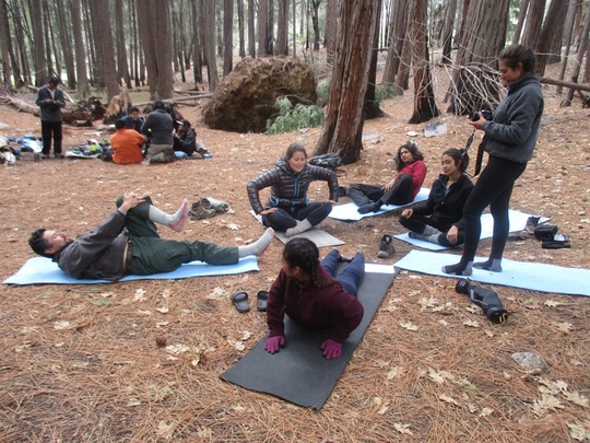 Group Yoga
